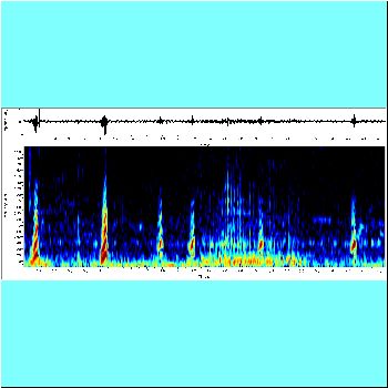 Serrasalmus compressus cf_spectrogram.png